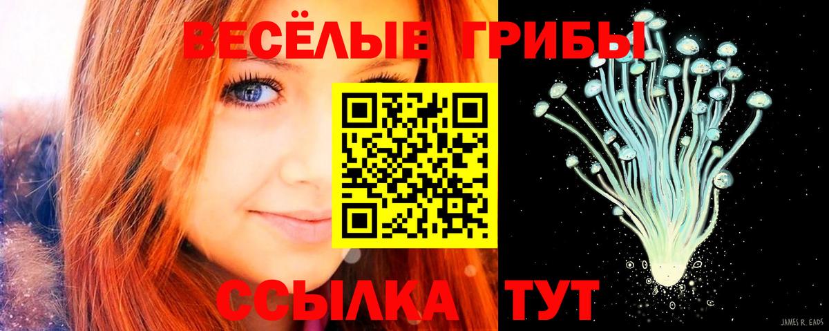 где купить наркоту  Псилоцибиновые грибы GOLDEN TEACHER  Вход с VPN  Ярославль 